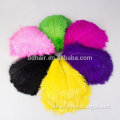 wholesale natural new design fashion natural ostrich feather